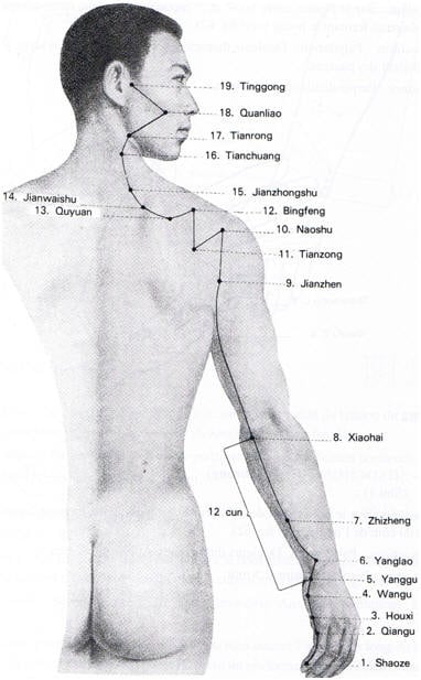 méridiens intestin grêle