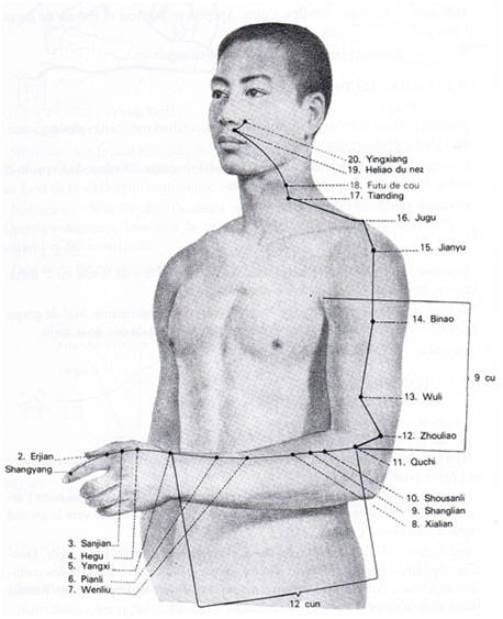 méridien gros intestin