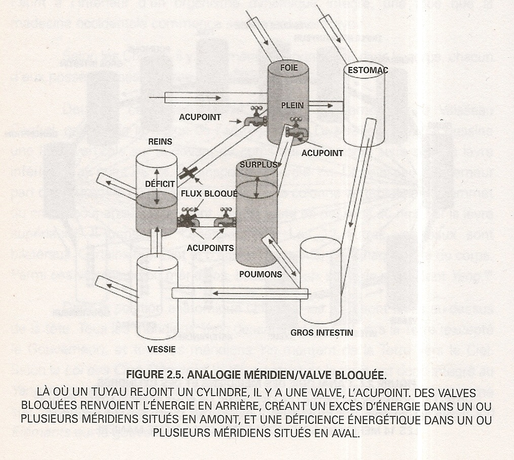 énergie du chi