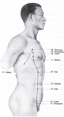 méridien rate pancréas