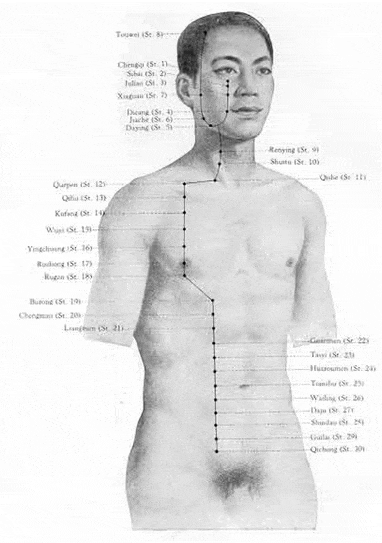 Méridien de l'estomac