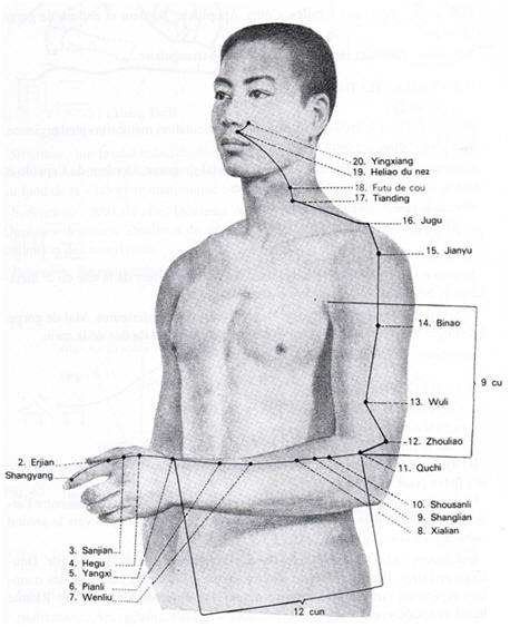 méridien du gros intestin