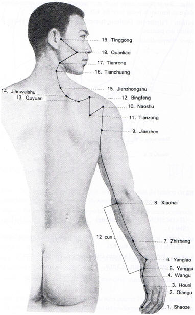 Méridien de l'intestin grêle