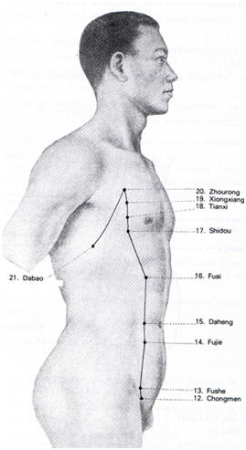 méridien rate-pancréas