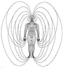 Les niveaux de conscience spirituelles selon Frederick Dodson kinesiologie sophrologie Marseille