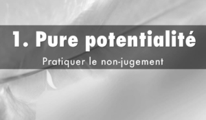 loi des pures potentialités