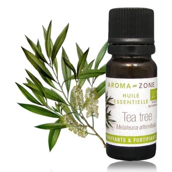 huile-essentielle-tea-tree kinesiology sophrologie Marseille