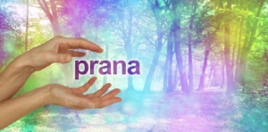 prana