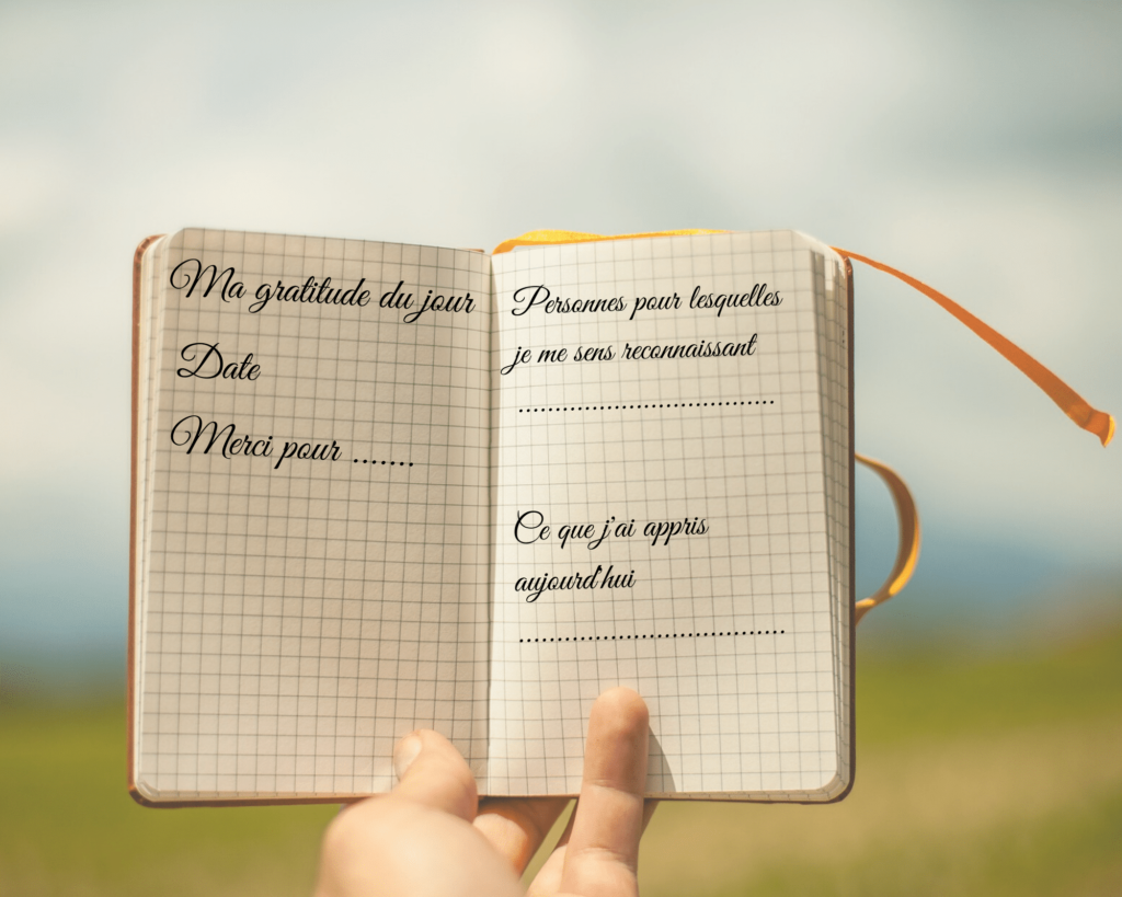 journal de gratitude