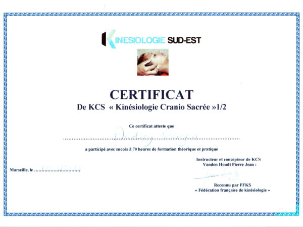 Certificat en cranio-sacré - kinésiologie
