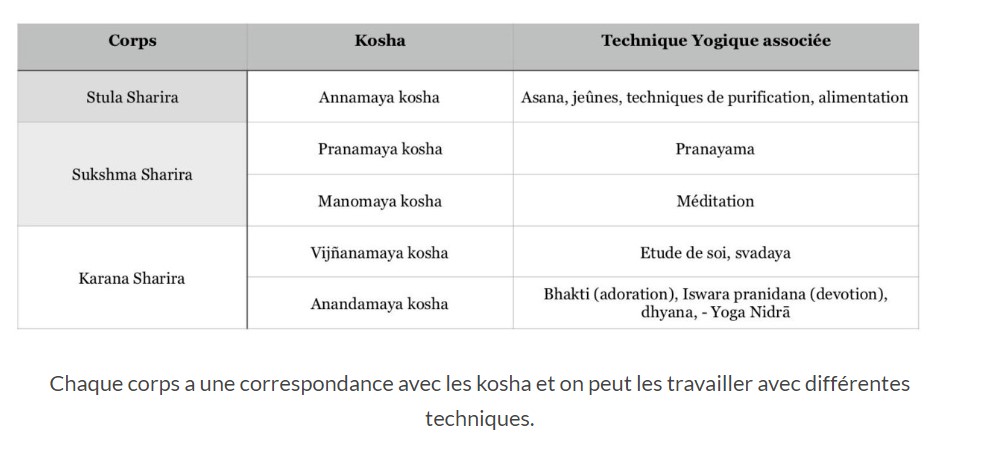 kinesiologue marseille