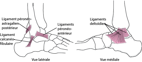 entorse cheville
